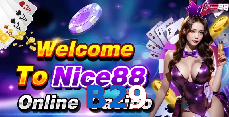 B29