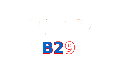 B29