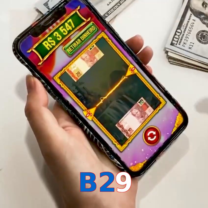 B29