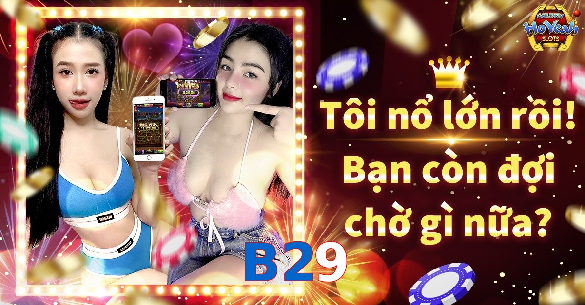 B29