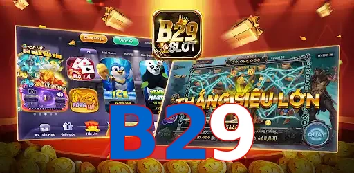B29