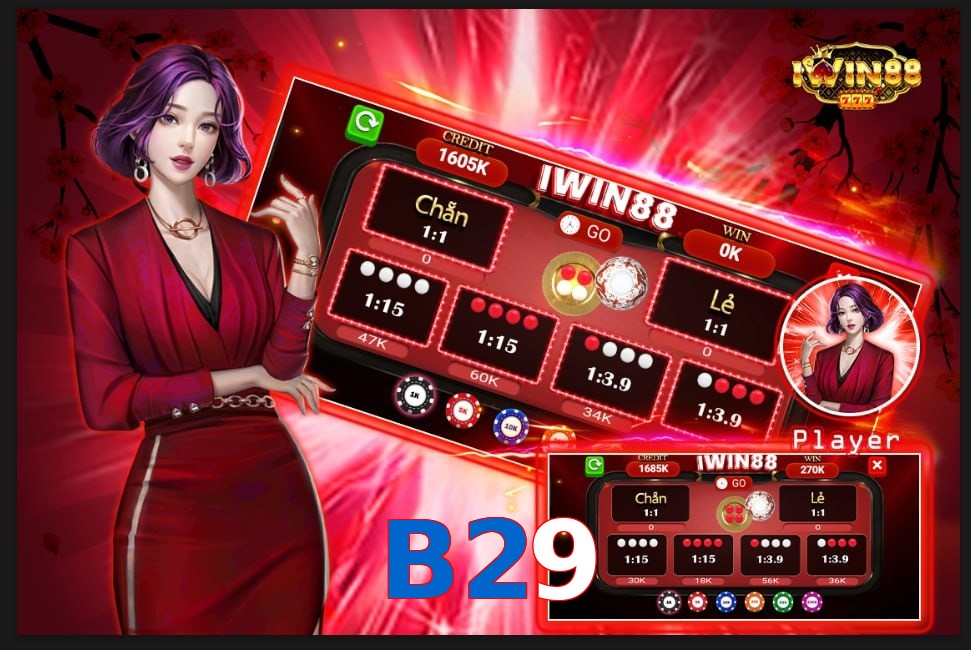 B29