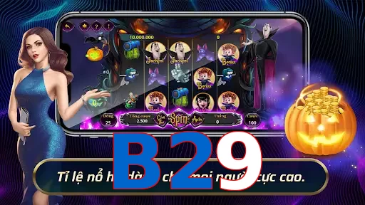 B29
