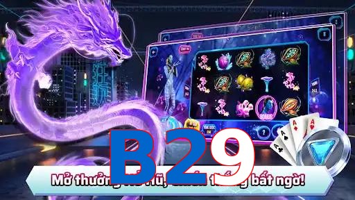 B29
