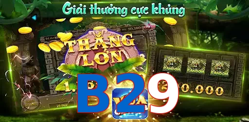 B29